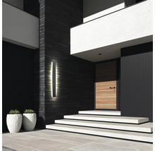 Moderná fasáda domu s vchodovými dverami, vonkajším osvetlením a kvetináčmi