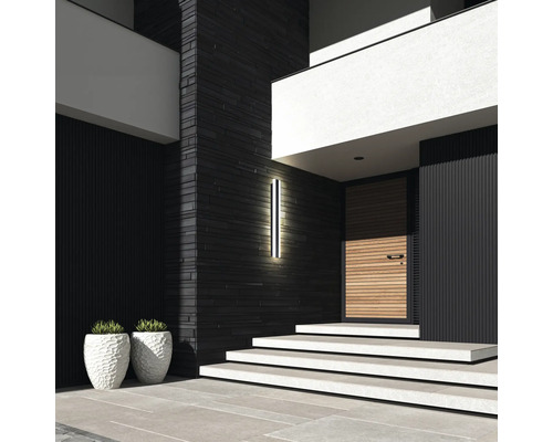 Moderná fasáda domu s vchodovými dverami, schodiskom, vonkajším svetlom a kvetináčmi