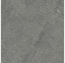 Sivá kamenina dlaždice s matným povrchom