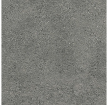 Sivá dlažba s kamenným vzhľadom