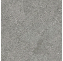 Sivá kameninová dlaždica so vzhľadom kameňa