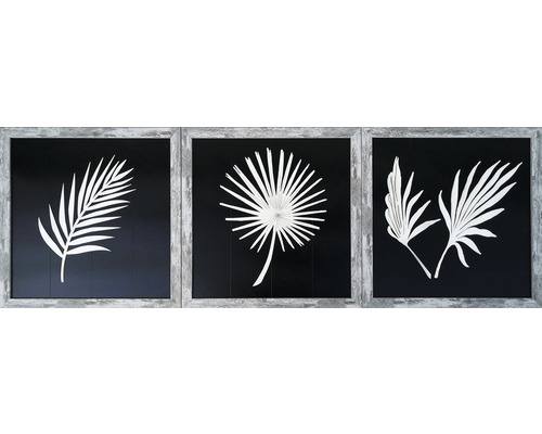 Nástenná dekorácia s tromi motívmi rastlín v ráme