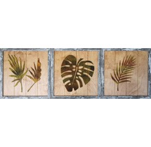 Nástenná dekorácia, trojdielna súprava s rastlinnými motívmi v ráme