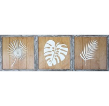 Sada dekoratívnych nástenných obrazov s botanickými motívmi v ráme