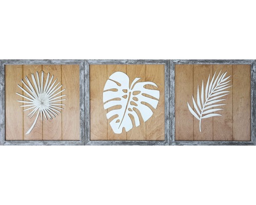 Sada dekoratívnych nástenných obrazov s botanickými motívmi v ráme