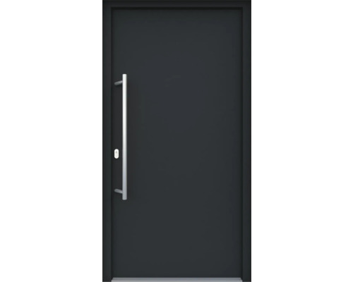 Vchodové dvere ARON 3101-1 100Ľ antracit