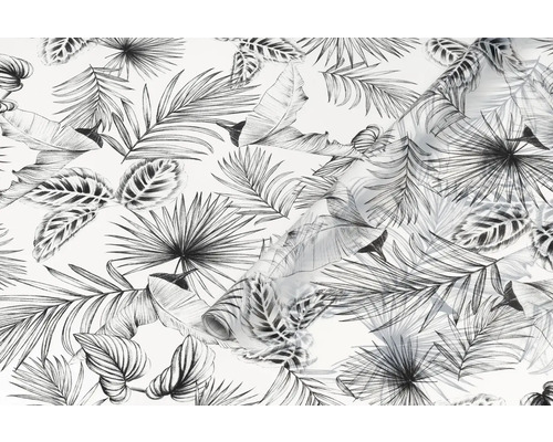Tapeta s motívom tropických listov