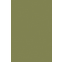 Jednofarebné pozadie