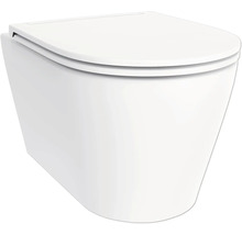 Závesné WC s vekom