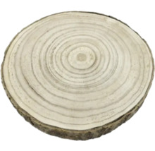 Drevený kotúč s letokruhmi
