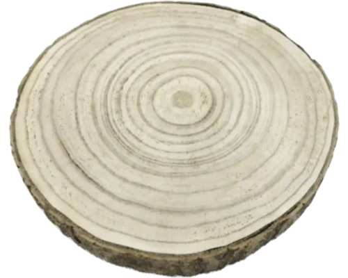 Drevený kotúč s letokruhmi