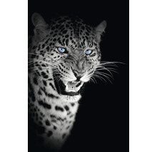 Detailný záber leoparda s otvorenou tlamou
