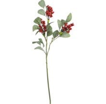 Dekoratívna vetva s listami a bobuľami na dekoráciu