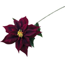 Dekoratívna červená vianočná hviezda so stonkou a zelenými listami.