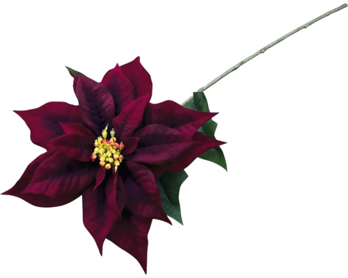 Umelý kvet z plastu V 71 cm bordový Dekoratívna červená vianočná hviezda so stonkou a zelenými listami.