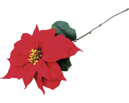 Umelý kvet z plastu V 71 cm červený Červená vianočná hviezda s listom a stonkou