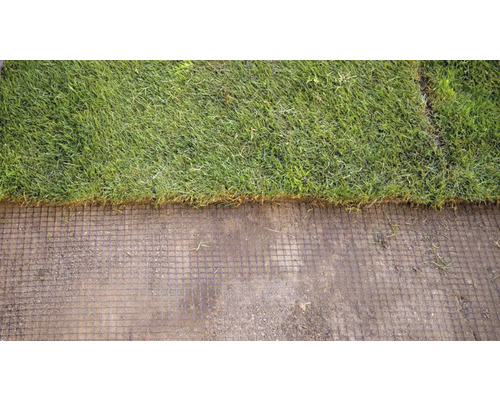 Detailný záber trávy na mriežke trávnatého koberca.