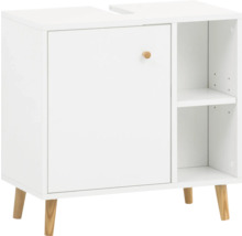 Skrinka pod umývadlo s dvierkami a policami