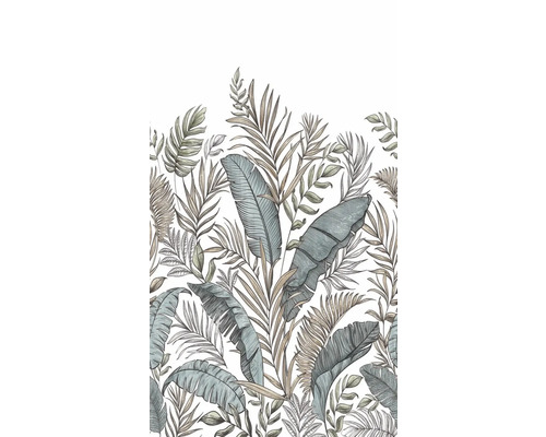 Ilustrácia tropických listov