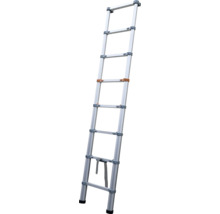 Strieborný teleskopický rebrík