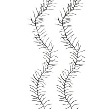 Dve girlandy s LED svetlami