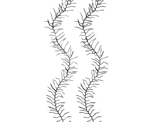 Dve girlandy s LED svetlami