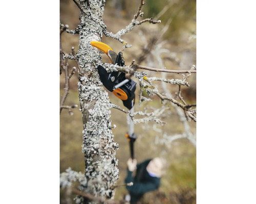 Nožnice na konáre pri strihaní stromu