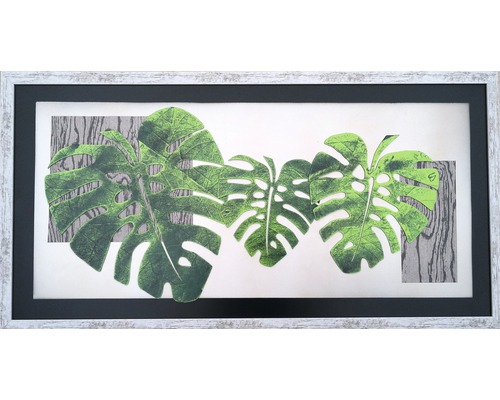 Zarámovaný obrázok s listami Monstera a dreveným vzorom