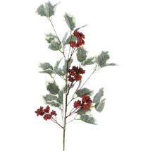 Ozdobná vetva s červenými bobuľami a listami