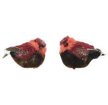 Dva dekoratívne vtáky s perím