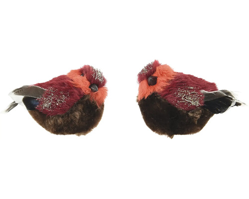 Dva dekoratívne vtáky s perím