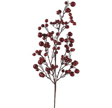 Dekoratívna vetva s lesklými červenými bobuľami na slávnostné dekorácie