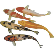 Päť koi kaprov z vtáčej perspektívy