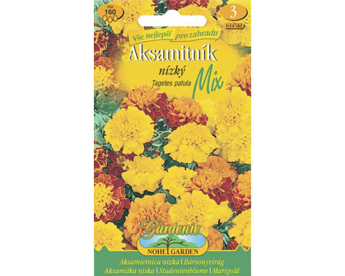 Aksamietnica rozložitá plnokvetá Tagetes patula zmes semien