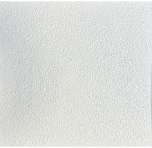 Detail bieleho textúrovaného povrchu.