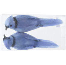 Dve ozdobné modré figúrky vtáčikov v priehľadnej nádobe