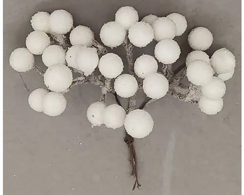 Bobule na drôtiku vo zväzku bielej Dekoratívne vetvičky s bielymi bobuľami