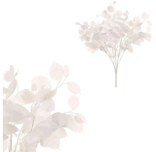 Dva kríky umelých rastlín lunaria s okrúhlymi listami