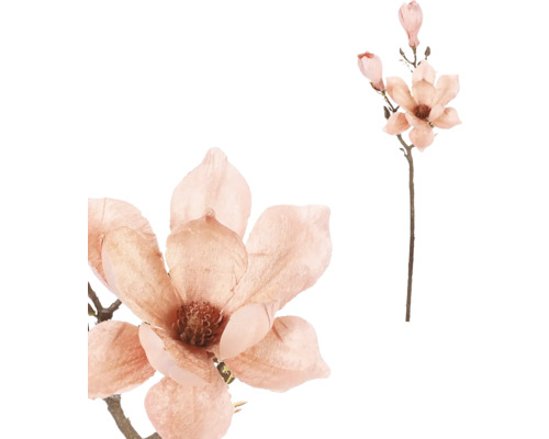 Konár s kvetmi magnólie ako dekorácia