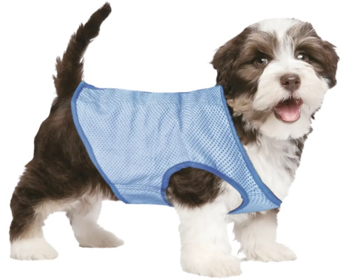 Pes s chladiacou vestou