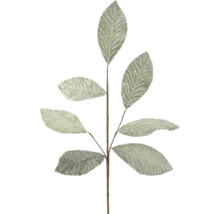 Dekoratívna vetva s listami