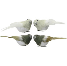 Štyri dekoratívne vtáky s perím