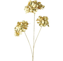 Dekoratívne hortenzie konáre v zlatej farbe