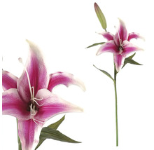 Dekoratívne kvety ľalie so stonkou na dekoráciu miestnosti