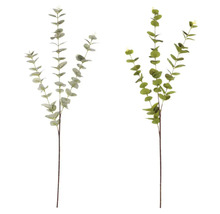 Dve umelé eukalyptové konáre