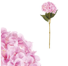 Dekoratívny kvet hortenzie na stonke