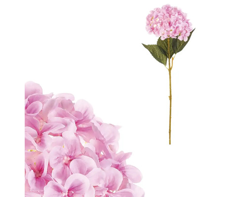 Dekoratívny kvet hortenzie na stonke