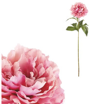 Dekoratívna pivonka ako umelá kvetina