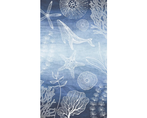 Vliesová fototapeta Lilly & Luis 77060-1 Uni 159 x 280 cm Grafika s veľrybami, hviezdicami a riasami na modrom pozadí