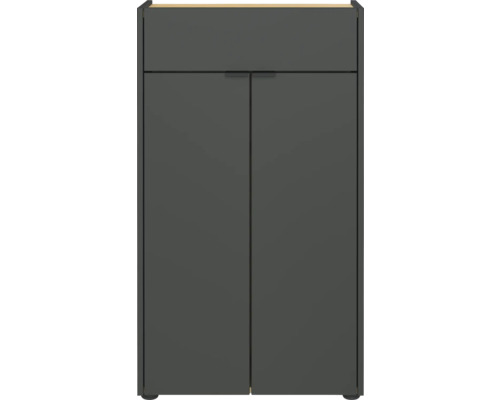 Kúpeľňová skrinka Forano GW antracitová 60x98 cm Skrinka na topánky s dvomi dvierkami a jednou zásuvkou